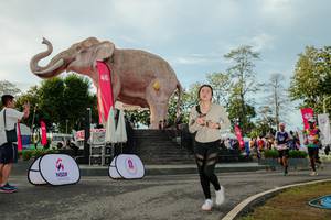 BIB: 
                            <button type="button" onclick="openModal(26529164)" class="btn btn-primary btn-sm float-right btn-popup" data-toggle="modal" data-target=".modal-high-quality">
                        <i class="fas fa-shopping-cart"></i> Add to Cart
                    </button>
                                            <button type="button" onclick="isThisMe(26529164, true)" class="btn btn-success btn-sm float-right btn-popup btn-isme hidden" data-toggle="tooltip" data-placement="bottom" title="นี่คือรูปของคุณใช่ไหม คลิกที่นี่เพื่อเอาเข้าอัลบั้ม">
                        <i class="fas fa-plus"></i> Add to album
                    </button>
                    <button type="button" onclick="isThisMe(26529164, false)" class="btn btn-warning btn-sm float-right btn-popup btn-isnotme hidden">
                        <i class="fas fa-ban"></i> Remove from album
                    </button>